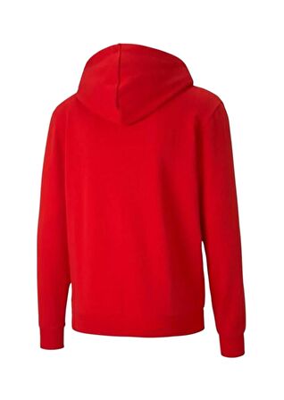 Puma Erkek Sweatshirts Teamgoal 23 Causals Hooded 65670801